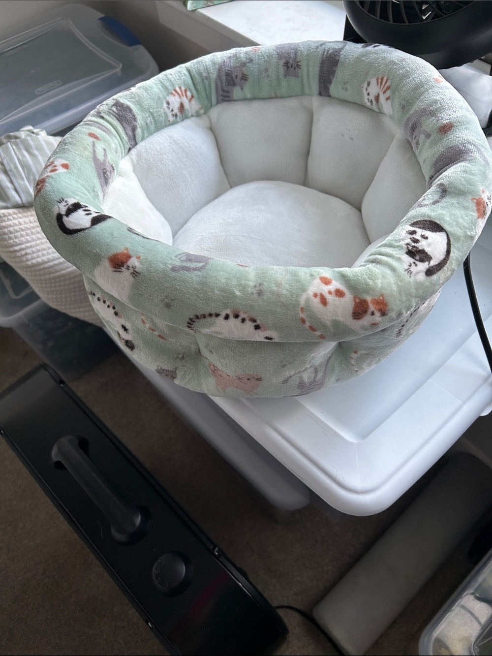 Plush Mint Animal-Print Kids Cozy Nest